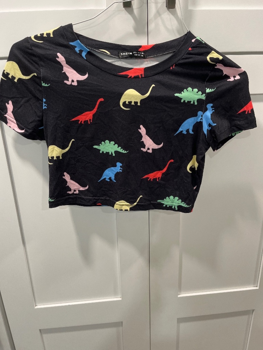 Dinosaur shirt